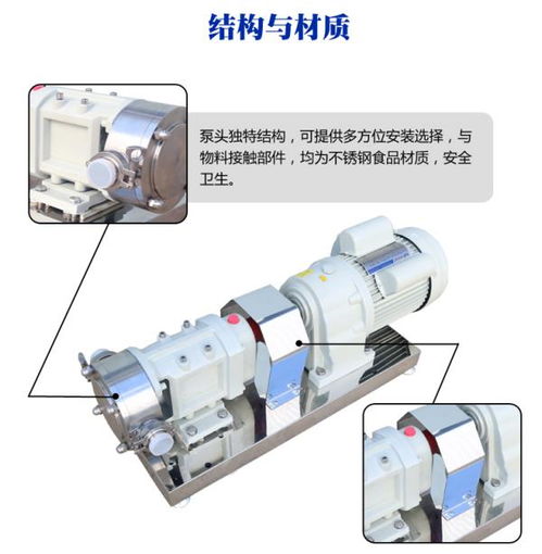 泰州高粘稠转子泵设计方案,YZB凸轮转子泵价格实惠